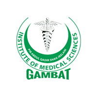Gambat Medical College